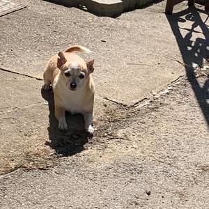 Meet your Posher, Sharon